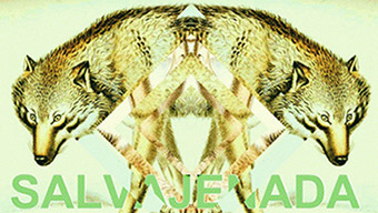 Salvajenada-logo-rectangular-LVÚ