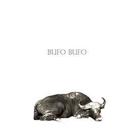 Pincha la portada para escuchar y descargar el EP de Bufó-Bufó, el hola y adiós de este cuarteto moreliano.